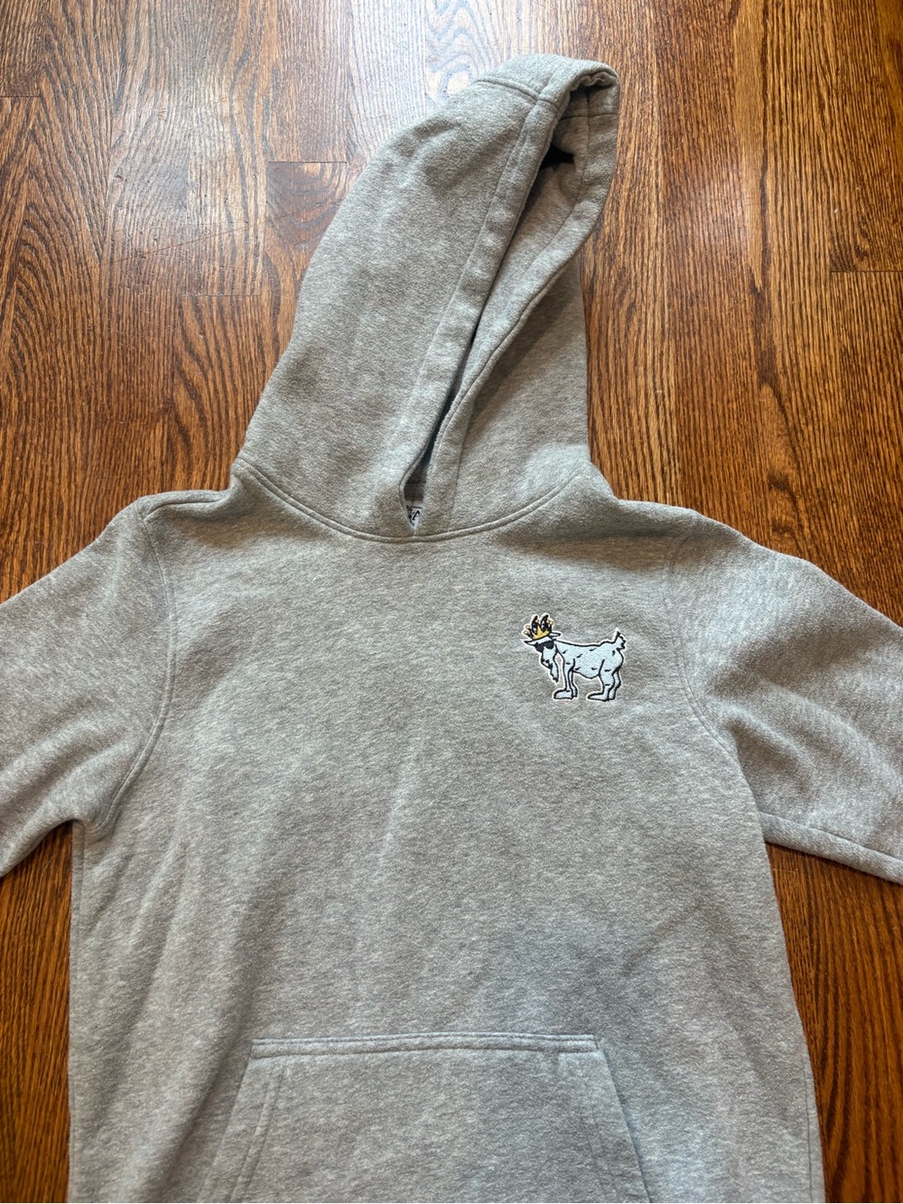 GOAT youth XL hoodie